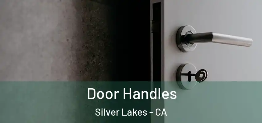  Door Handles Silver Lakes - CA