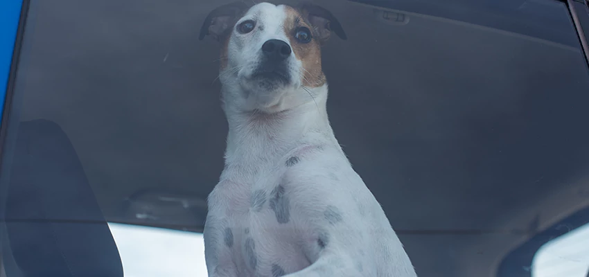 Car Lockout Solutions in Silver Lakes, California